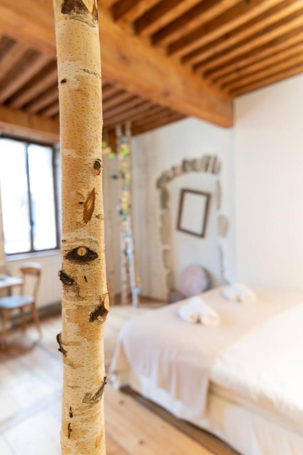 La Cour Filaterie - Suite Of 30 Sq M In The Annecy Breakfast Included Eksteriør bilde